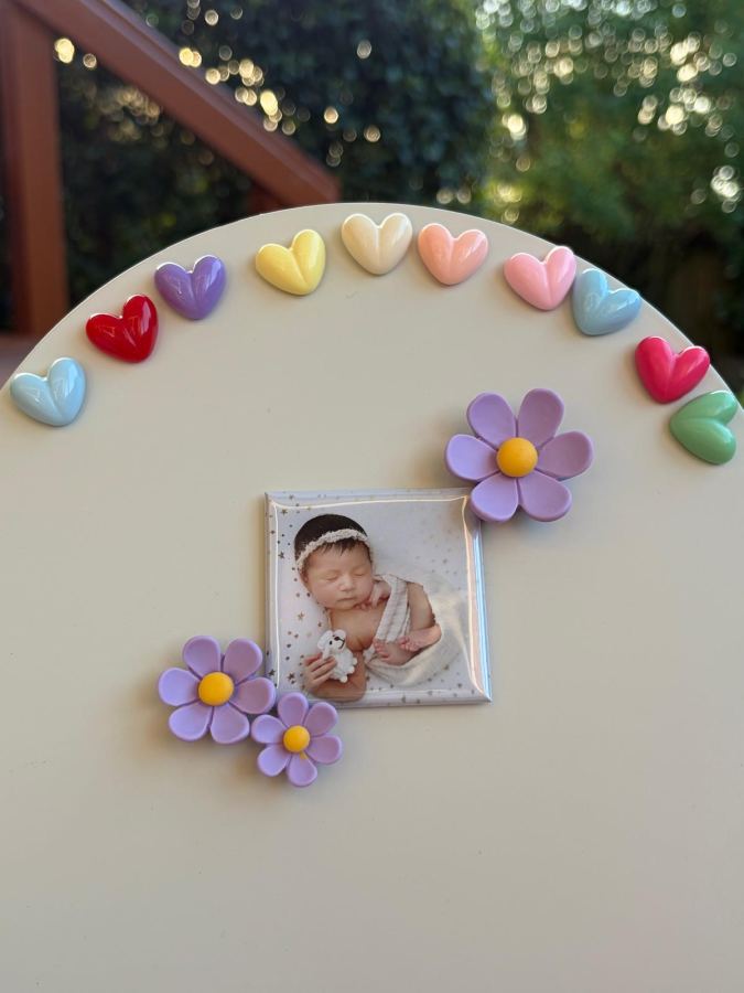 Mero Magnets photo magnets on display